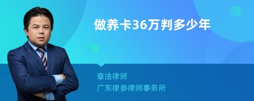 做养卡36万判多少年