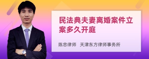 民法典夫妻离婚案件立案多久开庭