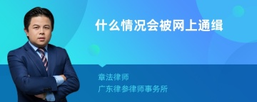 什么情况会被网上通缉