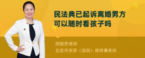 民法典已起诉离婚男方可以随时看孩子吗