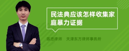 民法典应该怎样收集家庭暴力证据