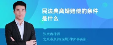 民法典离婚赔偿的条件是什么