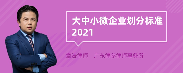 大中小微企业划分标准2021