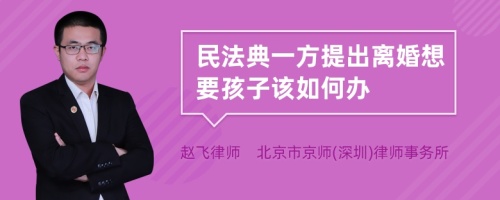 民法典一方提出离婚想要孩子该如何办