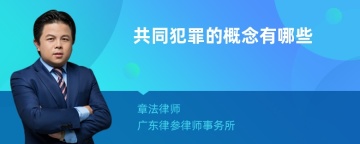 共同犯罪的概念有哪些