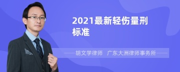 2021最新轻伤量刑标准