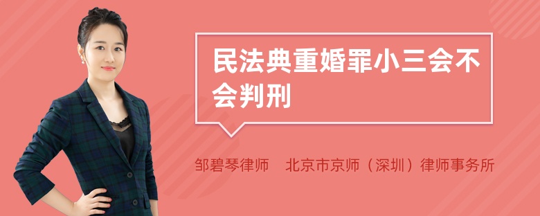 民法典重婚罪小三会不会判刑