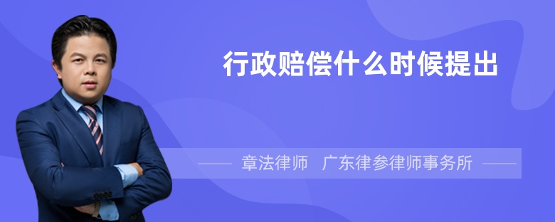 行政赔偿什么时候提出