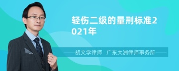 轻伤二级的量刑标准2021年