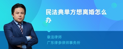 民法典单方想离婚怎么办