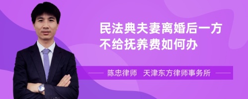 民法典夫妻离婚后一方不给抚养费如何办