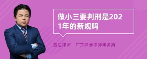 做小三要判刑是2021年的新规吗