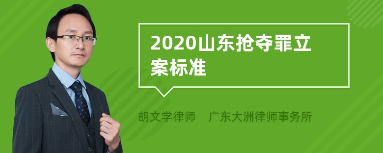 2020山东抢夺罪立案标准