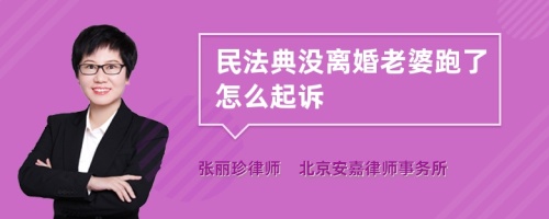 民法典没离婚老婆跑了怎么起诉