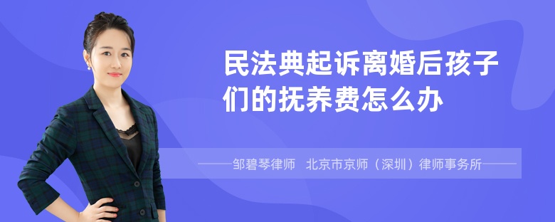 民法典起诉离婚后孩子们的抚养费怎么办