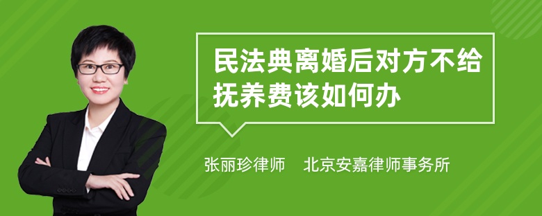 民法典离婚后对方不给抚养费该如何办