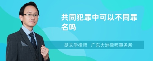 共同犯罪中可以不同罪名吗