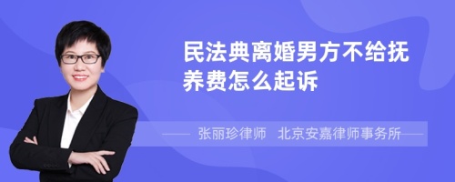 民法典离婚男方不给抚养费怎么起诉