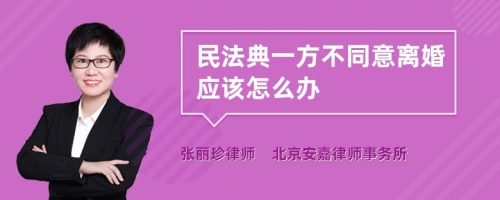 民法典一方不同意离婚应该怎么办