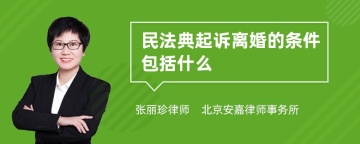 民法典起诉离婚的条件包括什么