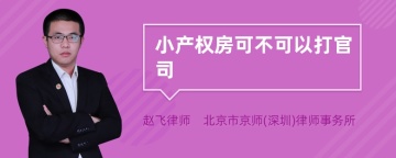 小产权房可不可以打官司