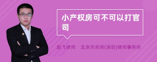 小产权房可不可以打官司