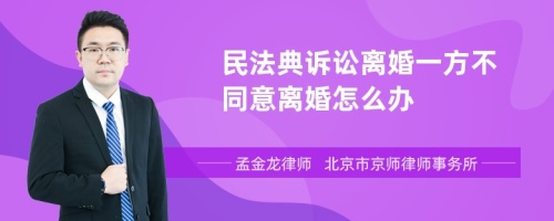 民法典诉讼离婚一方不同意离婚怎么办