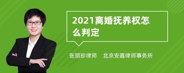 2021离婚抚养权怎么判定