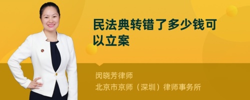 民法典转错了多少钱可以立案