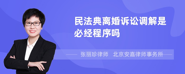 民法典离婚诉讼调解是必经程序吗