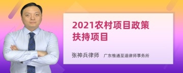 2021农村项目政策扶持项目