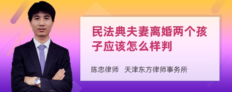 民法典夫妻离婚两个孩子应该怎么样判