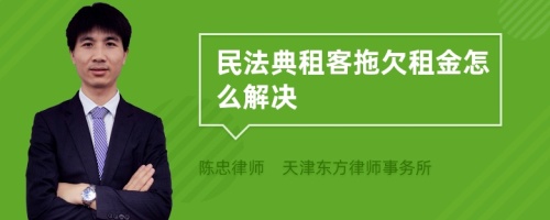 民法典租客拖欠租金怎么解决