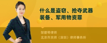 什么是盗窃、抢夺武器装备、军用物资罪