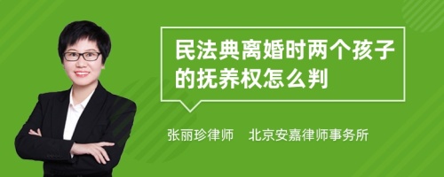 民法典离婚时两个孩子的抚养权怎么判