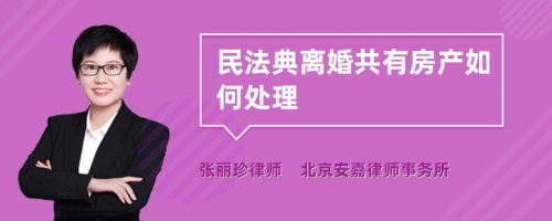 民法典离婚共有房产如何处理