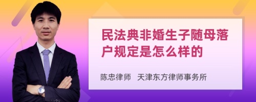 民法典非婚生子随母落户规定是怎么样的