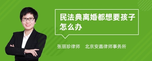 民法典离婚都想要孩子怎么办