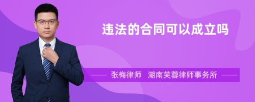 违法的合同可以成立吗