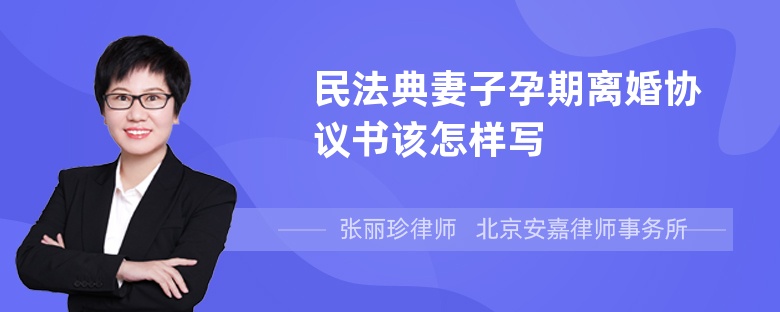 民法典妻子孕期离婚协议书该怎样写