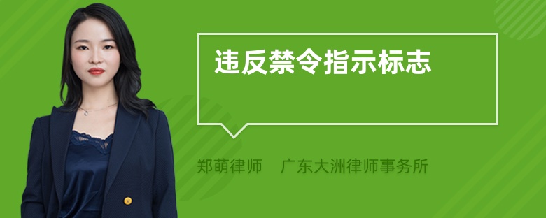 违反禁令指示标志