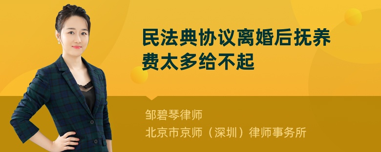 民法典协议离婚后抚养费太多给不起