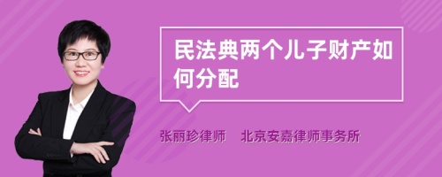 民法典两个儿子财产如何分配