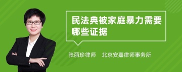 民法典被家庭暴力需要哪些证据