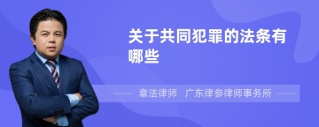 关于共同犯罪的法条有哪些