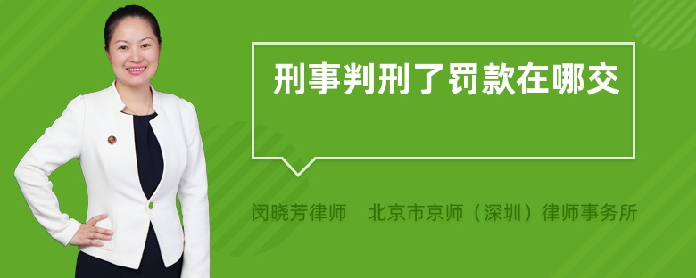 刑事判刑了罚款在哪交