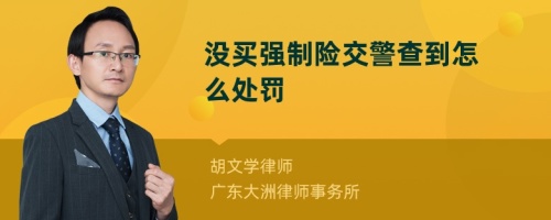 没买强制险交警查到怎么处罚