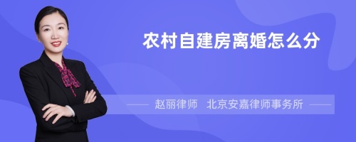 农村自建房离婚怎么分