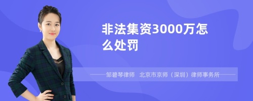 非法集资3000万怎么处罚