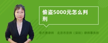 偷盗5000元怎么判刑